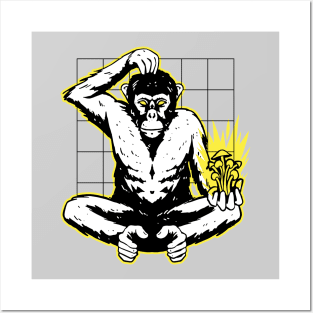 Stoned Ape Theory Posters and Art
